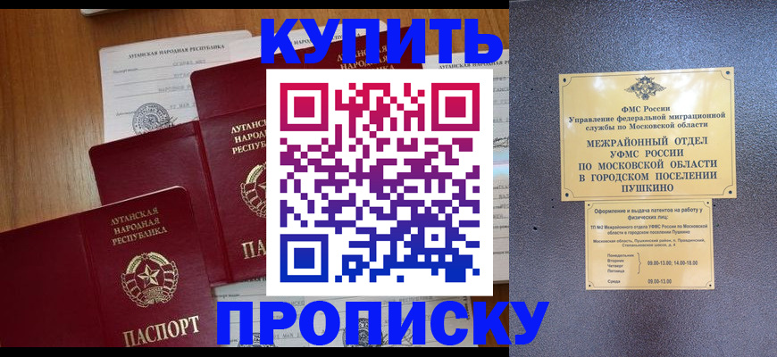прописка в квартире в Щёлково